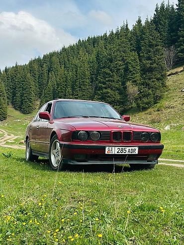 bye e5: BMW 5 series: 1991 г., 2.8 л, Механика, Бензин, Седан — 2