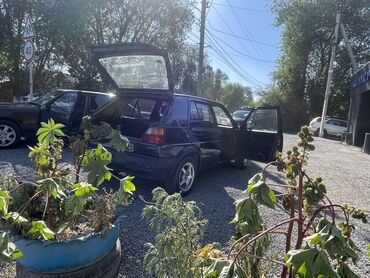 запчасти опель зафира а: Volkswagen Golf: 1989 г., 1.6 л, Механика, Дизель, Хетчбек
