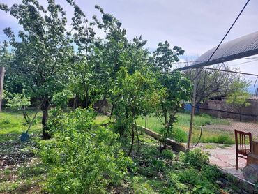 Həyət evləri və villaların satışı: 3 otaqlı, 800 kv. m, Kredit var, Orta təmir -da lalafo.az — 9 Həyət evləri və villaların satışı: 3 otaqlı, 800 kv. m, Kredit var, Orta təmir — 9