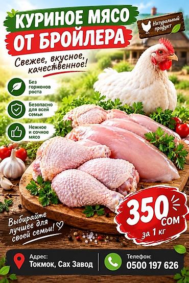икра кеты бишкек: Куриное мясо от бройлера — натуральный продукт - Свежее, вкусное — 2