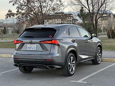 Lexus: Lexus NX: 2019 г., 2 л, Автомат, Бензин, Кроссовер — 13