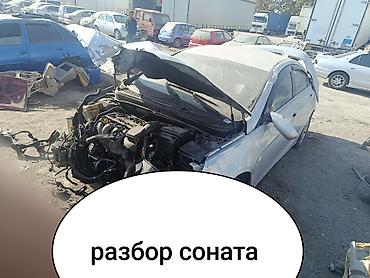 Разбор соната юф