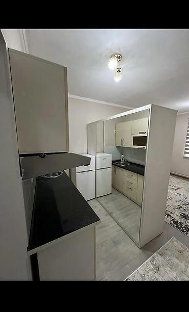 Продажа квартир: 1 комната, 23 м², Индивидуалка, 2 этаж, Евроремонт — 6