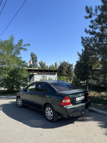 садовый измелчитель: Toyota Corolla: 2003 г., 1.6 л, Механика, Бензин, Седан