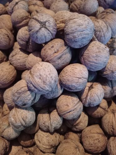 чищенные орехи: Продам орехи грецкие, тонкокорые,вкусные,этого года. цена 100 сом. В