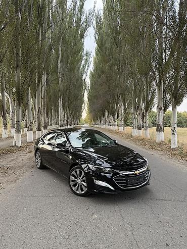 Chevrolet Malibu: 2019 г., 2 л, Автомат, Бензин, Седан at lalafo.kg Chevrolet Malibu: 2019 г., 2 л, Автомат, Бензин, Седан