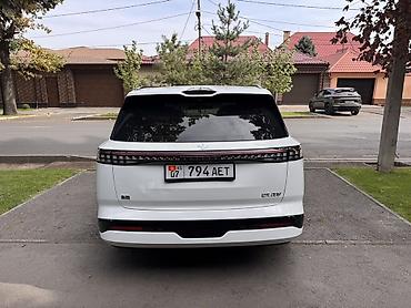 Dongfeng: Dongfeng : 2024 г. — 4