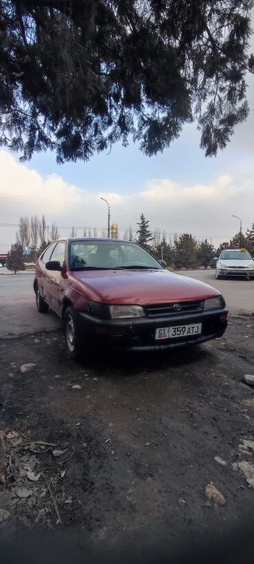 Toyota: Toyota Corolla: 1995 г., 1.3 л, Механика, Бензин, Купе