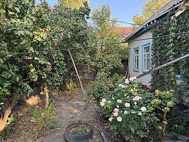 Продажа коттеджей и домов: Дом с участком и садом - Отдельностоящий одноэтажный дом с двускатной — 3