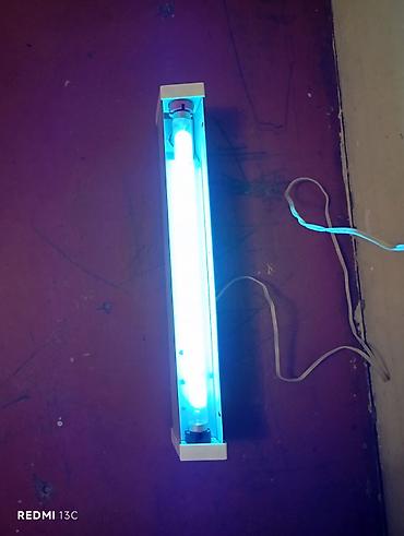 Бактерицидная лампа UV-C bakterisid lampa (divar/səth tipli armatur) lalafo.az -da Бактерицидная лампа UV-C bakterisid lampa (divar/səth tipli armatur)