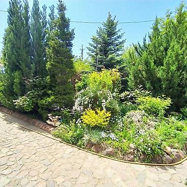 premium development: Гостиница на Иссык-Куле, Чолпон-Ата — 4