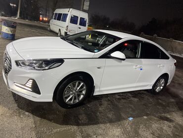 грузавой ман: Hyundai Sonata: 2019 г., 2 л, Автомат, Газ, Седан