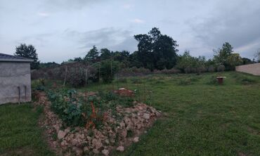 Torpaq sahələrinin satışı: 25 sot, Tikinti, Mülkiyyətçi, Bələdiyyə -da lalafo.az — 8 Torpaq sahələrinin satışı: 25 sot, Tikinti, Mülkiyyətçi, Bələdiyyə — 8