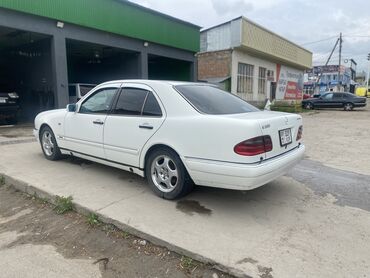 шторка аутбек: Mercedes-Benz E-Class: 1998 г., 3.2 л, Автомат, Бензин, Седан