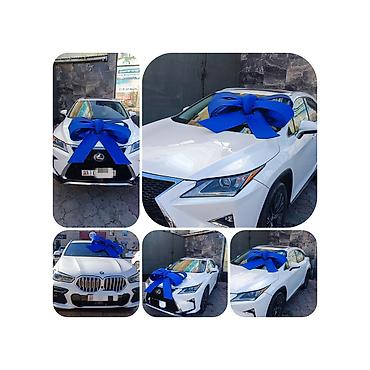 Организация мероприятий: Организация мероприятий | Аниматоры — 28