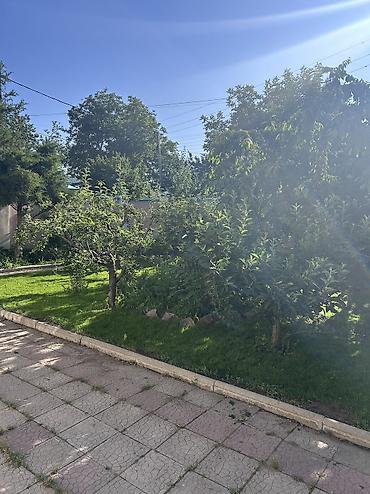 Дома: Дом с участком 7 соток по красной книге (7,8 соток по факту). Участок — 3