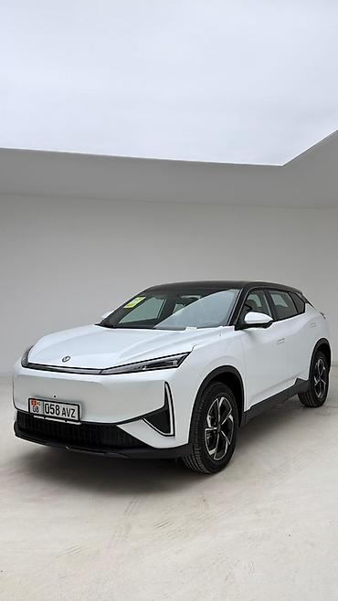 Dongfeng: Dongfeng : 2025 г., Гибрид, Кроссовер — 3