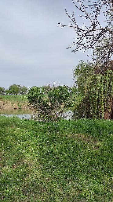 Долгосрочная аренда домов: 50 м², 2 комнаты — 10