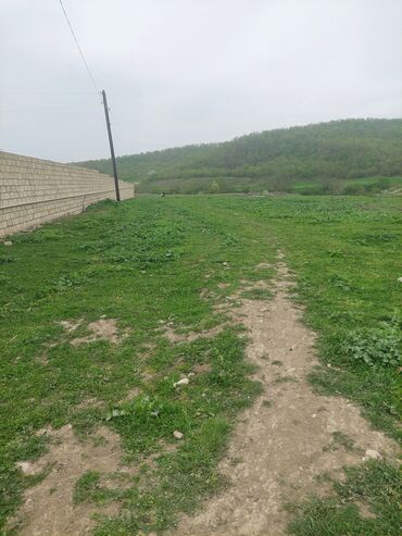 Torpaq sahələrinin satışı: 31 sot, Kənd təsərrüfatı, Kupça (Çıxarış) -da lalafo.az — 2 Torpaq sahələrinin satışı: 31 sot, Kənd təsərrüfatı, Kupça (Çıxarış) — 2