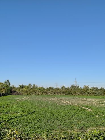 Torpaq sahələrinin satışı: 100 sot, Kənd təsərrüfatı, Kupça (Çıxarış) -da lalafo.az — 8 Torpaq sahələrinin satışı: 100 sot, Kənd təsərrüfatı, Kupça (Çıxarış) — 8