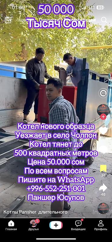 чай габа: Сорт СОНАТА где то 5,6 тон осталось продаю с дома огорода — 2