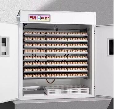 аппарат для жарки мяса для шаурмы: 🥚 Профессиональные полностью автоматические инкубаторы Для яиц всех