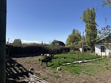 Продажа коттеджей и домов: Дом с участком. - Тип: одноэтажный частный дом с двускатной крышей и — 14