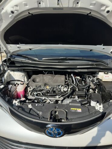 Toyota: Toyota Sienna: 2021 г., 2.5 л, Автомат, Гибрид, Минивэн — 30