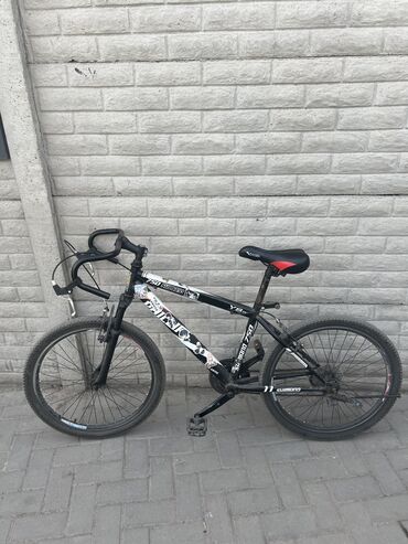 24 luk velosiped: Скоростной велосипед Philip’s Руль баран,при желании можно поменять