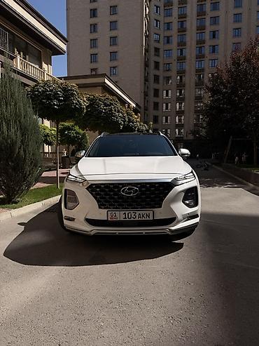 шина 19: Hyundai Santa Fe: 2019 г., 2 л, Автомат, Бензин, Кроссовер — 2