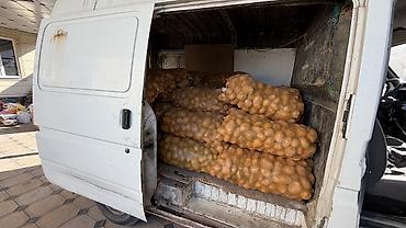 1995: Ford Transit: 1995 г., 2.5 л, Механика, Дизель, Бус — 6