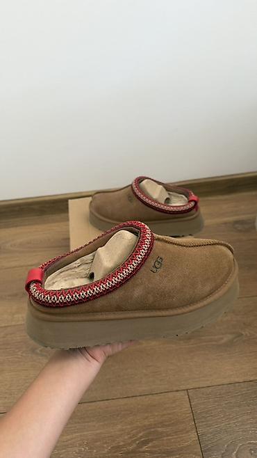 Ugg Tazz original. Broj 39