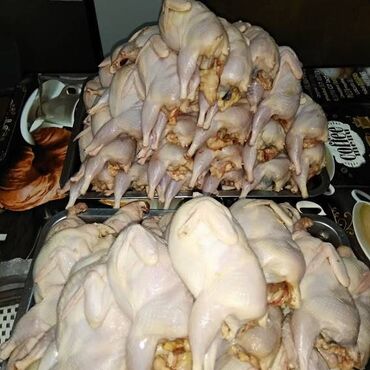 Мясо, рыба, птица: Бодоно мясо перепёлки крыпные тушки весом до 280 грамм. Купить