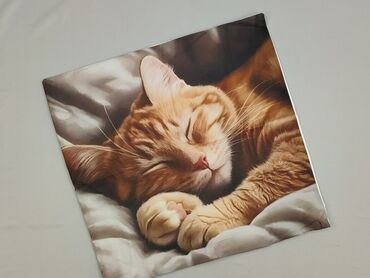 Pillowcase, 46 x 44, kolor - Kolorowy, stan - Idealny