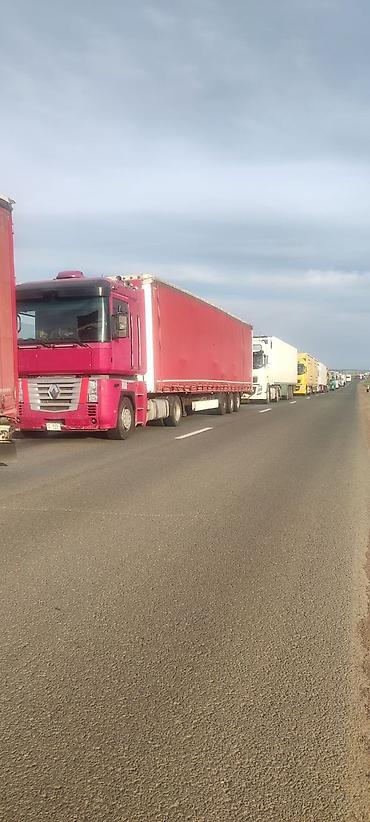 Reliant: Reliant : 2008 г., Автомат, Дизель — 7