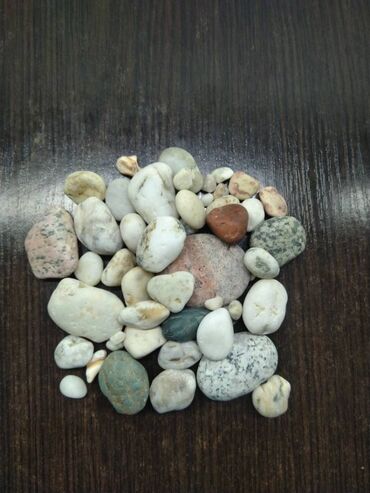 Akvarium aksessuar və ləvazimatları: TECLI elaqe ucun zeng vurun mesajlara bos vaxtim olanda -da lalafo.az — 5 Akvarium aksessuar və ləvazimatları: TECLI elaqe ucun zeng vurun mesajlara bos vaxtim olanda — 5