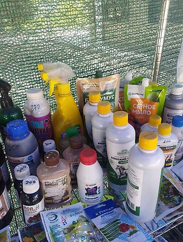 Другие садовые цветы и кустарники: Садовый центр/питомник растений и товаров для сада - Широкий выбор — 3