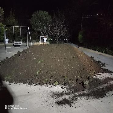 caxmaq daşı: Qara meşə torpağı,kübrə əvəzi Yanmış peyin Şamaxı İsmayıllı — 6