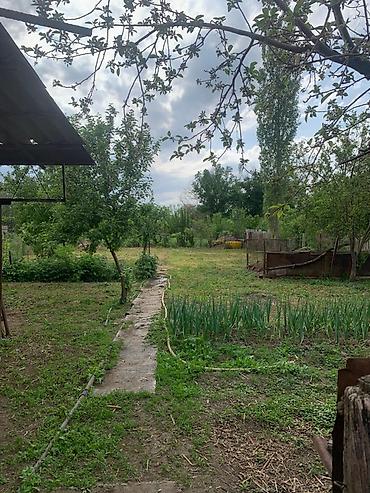 купить дом 200 кв м: 4 комнаты, 93 м², 10 соток, Тынчтык, Собственник — 1