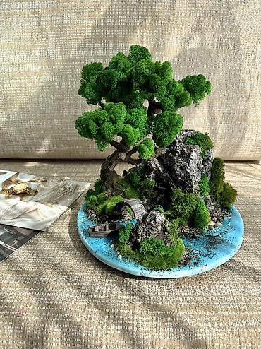 Декоративные цветы: Деревья-бонсай из натурального стабилизированного мха🌳 -это — 102