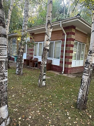 слив котедж: ЦО РАДУГА ПРОДАЕТСЯ Коттедж в сосново-берёзовой зоне, одноэтажный — 4