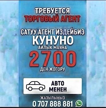 Вакансия: Торговый агент - Ежедневный заработок: от 2700 сом - Работа