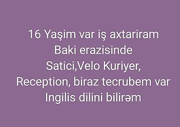 temu online iş: Kassir tələb olunur, İstənilən yaş, Təcrübəsiz, Gündəlik ödəniş — 1