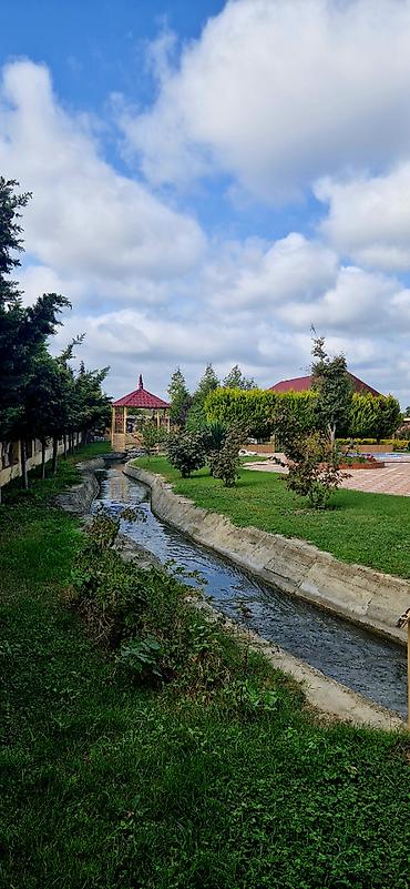 Bağ evlərinin kirayəsi: 500 kv. m, 8 otaq, Hovuzlu, Kombi, Qaz, İşıq — 13