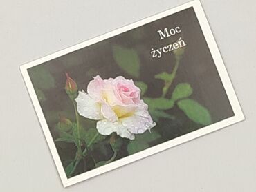 Postcard, condition - Perfect
