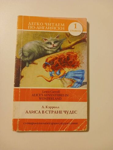 Bədii ədəbiyyat: Все книжки от 3 до 10 азн. Скетчинг! Long Shadows-David Baldacci Алиса — 9