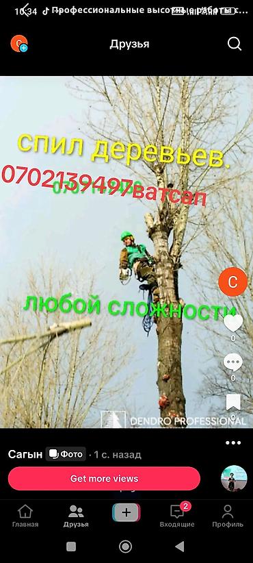 Профессиональный спил деревьев любой сложности. - Альпинистский