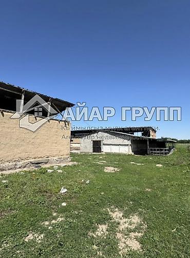 Продажа сельхоз предприятий: Ферма КРС, 20 соток, Электричество, Холодная вода — 11