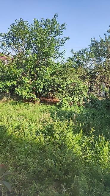 rahat emlak: Bağ evi – geniş həyət və rahat daxili planlama - Yaşayış sahəsi — 7