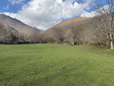 Torpaq sahələrinin satışı: 35 sot, Mülkiyyətçi — 9